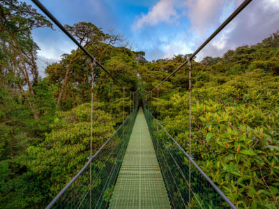 Monteverde Cloud Forest Hanging Bridge, Costa Rica