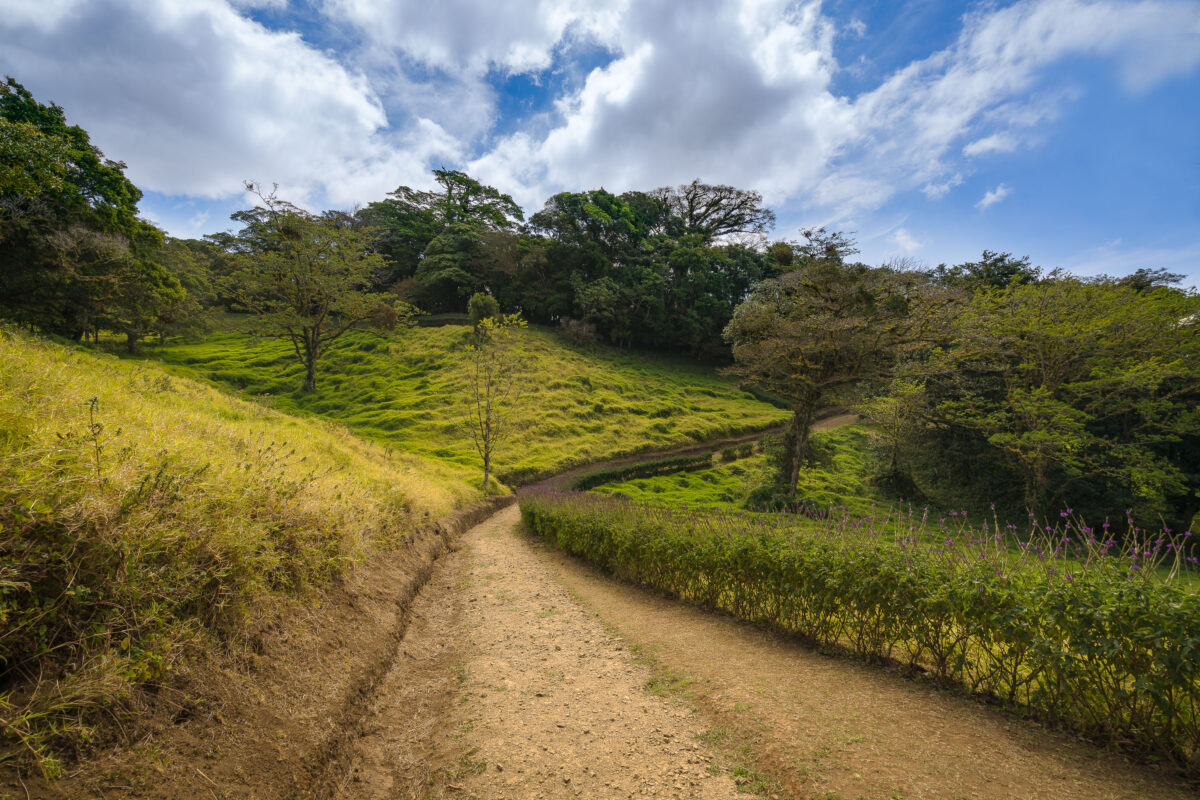 Monteverde Cloud Forest Path, Costa Rica