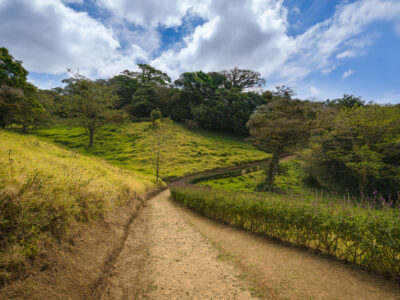 Monteverde Cloud Forest Path, Costa Rica