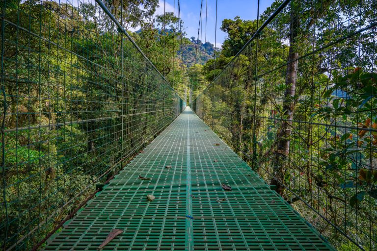 Monteverde Hanging Bridge in Costa Rica 3 A suspended walkway of the Monteverde Hanging Bridges in Costa Rica's cloud forest.