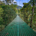 Hanging bridges in a Monteverede cloud forest.