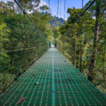 Hanging bridges in a Monteverede cloud forest.