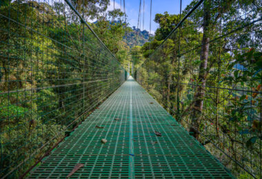 Hanging bridges in a Monteverede cloud forest.