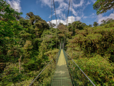 Monteverde Hanging Bridges, Costa Rica