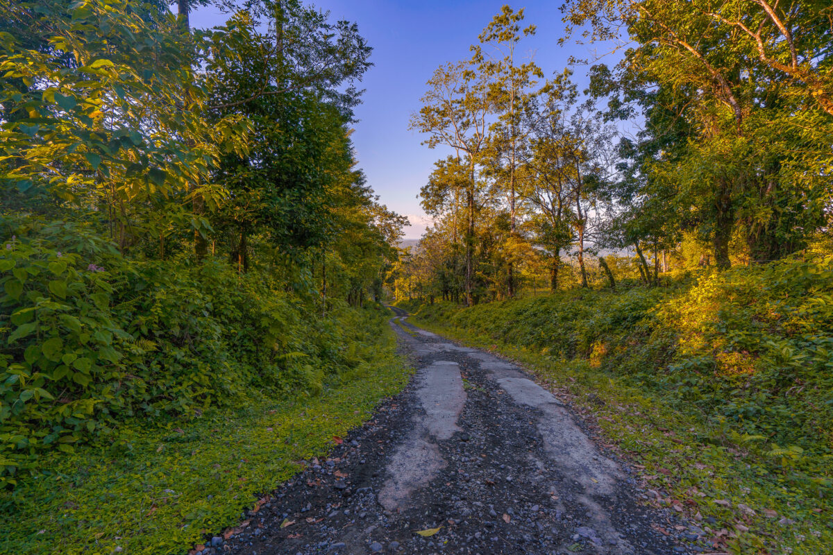 Unpaved Road in Alajuela Province, Costa Rica