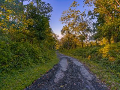 Unpaved Road in Alajuela Province, Costa Rica