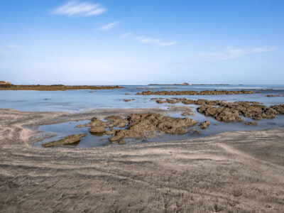 Rocky Shoreline and Tidal Pools, Gujarat
