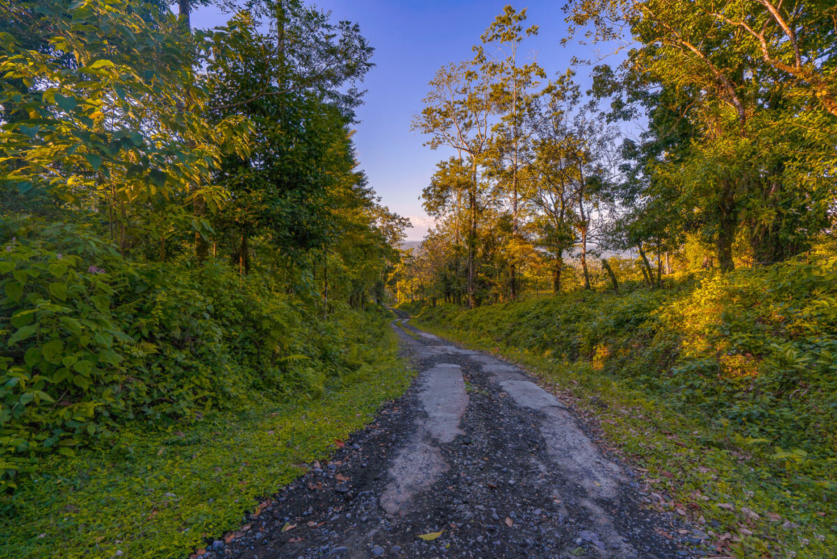 A slighly paved back road in Alejuela province Costa Rica.