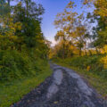 A slighly paved back road in Alejuela province Costa Rica.