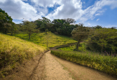 A walking path in a Monteverde cloud forest.