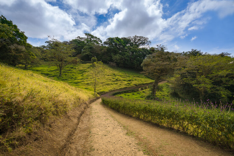 Walking in the Monteverde Cloud Forest 1 A walking path in a Monteverde cloud forest.