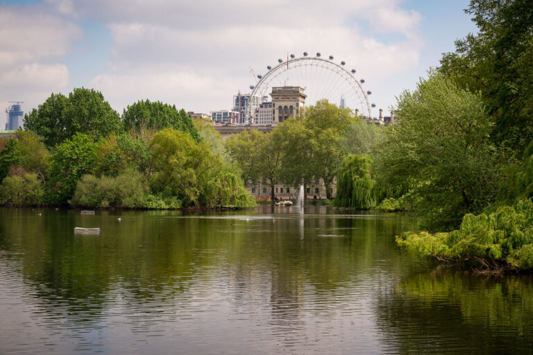 London Eye and St. James's Park Lake, Westminster 1 St. James's Park Lake and the London Eye in Westminster. St. James's Park, one of London's eight Royal Parks, was originally established by Henry VIII in the 16th century and later redesigned by John Nash in the 1820s. The park's lake, with its central fountain, was part of Nash's landscaping that connected Buckingham Palace and Whitehall. Completed in 1999, the London Eye, a cantilevered observation wheel, offers panoramic views of the city and stands in contrast to the park's tranquil atmosphere.