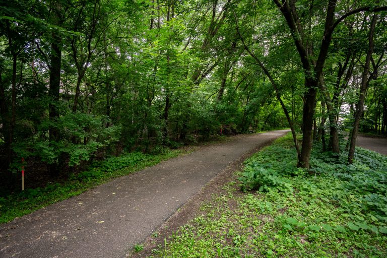 A Wooded Stretch of the Kenilworth Trail 3 Paved trail winds through dense deciduous forest with mature trees lining both sides.