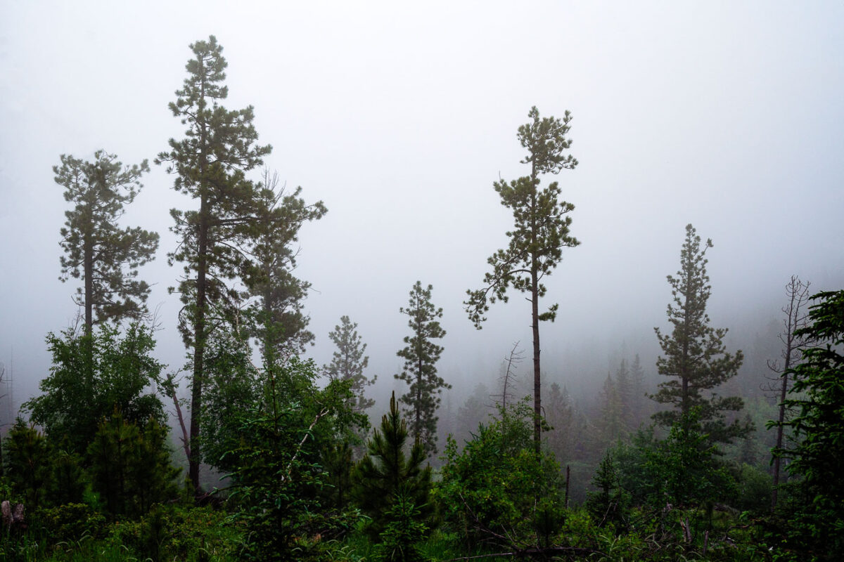 Black Elk Peak Fog in South Dakota