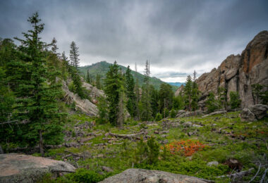 Custer State Park is a South Dakota State Park and wildlife reserve in the Black Hills, United States. The park is South Dakota's largest and first state park, named after Lt. Colonel George Armstrong Custer. The area originally started out as sixteen sections, but was later changed into one block of land because of the challenges of the terrain. The park began to grow rapidly in the 1920s and gained new land. During the 1930s the Civilian Conservation Corps built miles of roads, laid out parks and campgrounds, and built three dams that set up a future of water recreation at the park. In 1964 an additional 22,900 acres (93 km2) were added to the park. The park covers an area of over 71,000 acres (287 km2) of hilly terrain and is home to many wild animals. -- Wikipedia