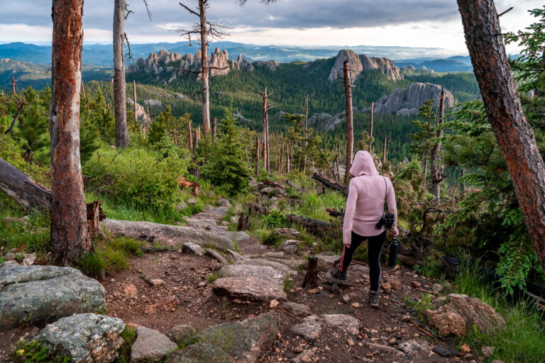 Descent from Black Elk Peak at Dusk 2 A hiker descends the rugged granite path from Black Elk Peak, the highest summit in South Dakota, as the evening light softens over the Cathedral Spires. The trail—part of the Norbeck Wildlife Preserve within Custer State Park—winds through a landscape shaped by ancient uplift and erosion, where ponderosa pines cling to stone outcrops and fire-scarred trunks bear witness to the region’s cycles of renewal. From this vantage point, the Black Hills stretch endlessly toward the horizon, a place sacred to the Lakota people and enduringly wild in its beauty.