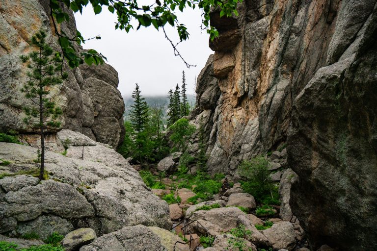Granite Rock Formations Near Sylvan Lake, Custer State Park 3 Rocky granite canyon with coniferous trees and boulders at Sylvan Lake, South Dakota.