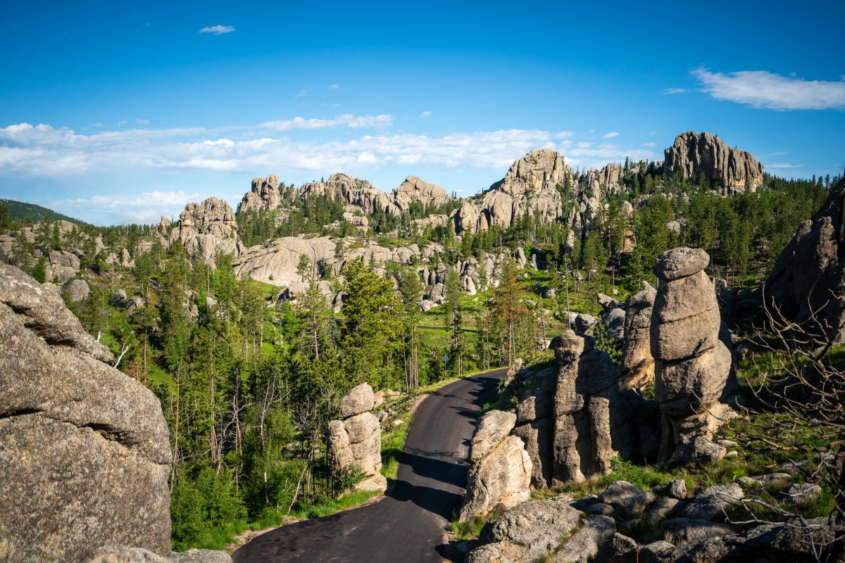 Granite Spires Along Needles Highway, Custer State Park