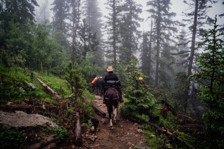 Horses on Black Elk Peak in South Dakota 4 Horseback riders navigate a mist-covered trail near the summit of Black Elk Peak in South Dakota’s Black Hills. The fog clings to the ponderosa pines, softening the rugged landscape that rises above Custer State Park. This peak—renamed in 2016 to honor Lakota spiritual leader Black Elk—has long served as both a place of pilgrimage and a vantage point over the vast granite formations and pine forests of the region.