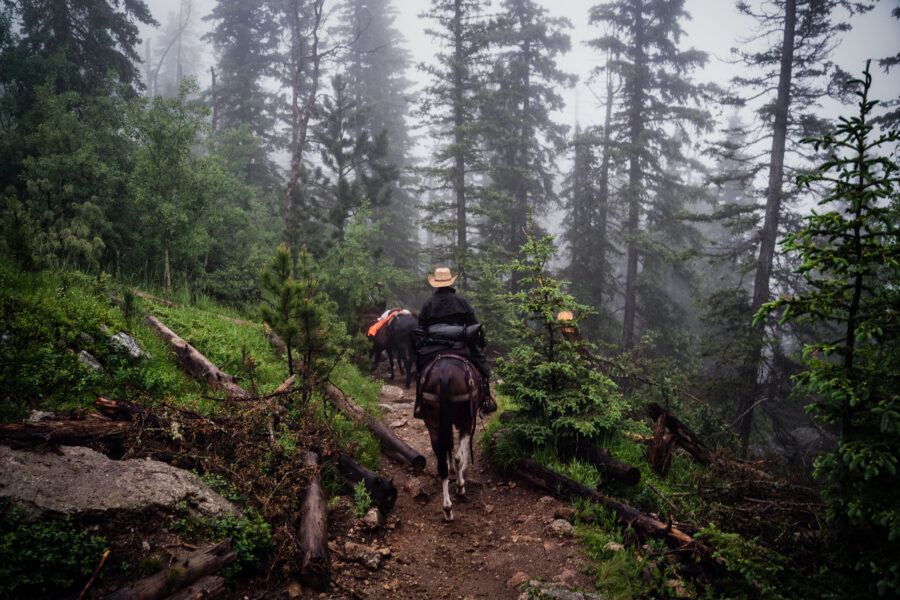 Horseback riders on Black Elk Peak trail, South Dakota