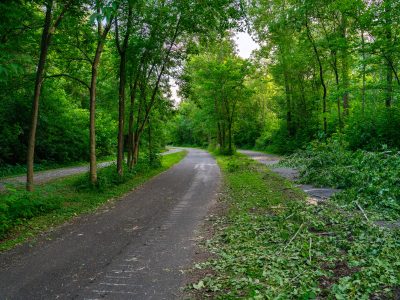 Trail Debris Piled Along the Kenilworth Trail in Minneapolis