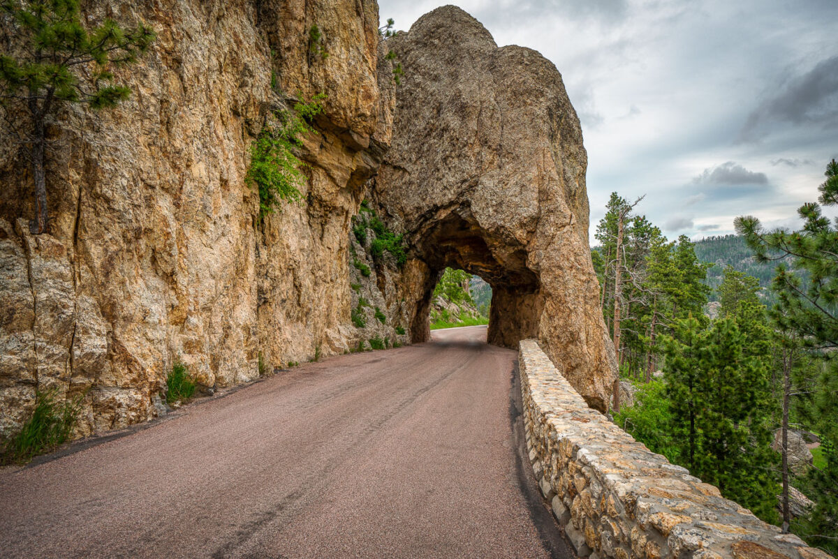 The Needles of the Black Hills of South Dakota are a region of eroded granite pillars, towers, and spires within Custer State Park. Popular with rock climbers and tourists alike, the Needles are accessed from the Needles Highway, which is a part of Sylvan Lake Road (SD 87/89). The Cathedral Spires and Limber Pine Natural Area, a 637-acre portion of the Needles containing six ridges of pillars as well as a disjunct stand of limber pine, was designated a National Natural Landmark in 1976. -- Wikipedia