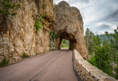The Needles of the Black Hills of South Dakota are a region of eroded granite pillars, towers, and spires within Custer State Park. Popular with rock climbers and tourists alike, the Needles are accessed from the Needles Highway, which is a part of Sylvan Lake Road (SD 87/89). The Cathedral Spires and Limber Pine Natural Area, a 637-acre portion of the Needles containing six ridges of pillars as well as a disjunct stand of limber pine, was designated a National Natural Landmark in 1976. -- Wikipedia