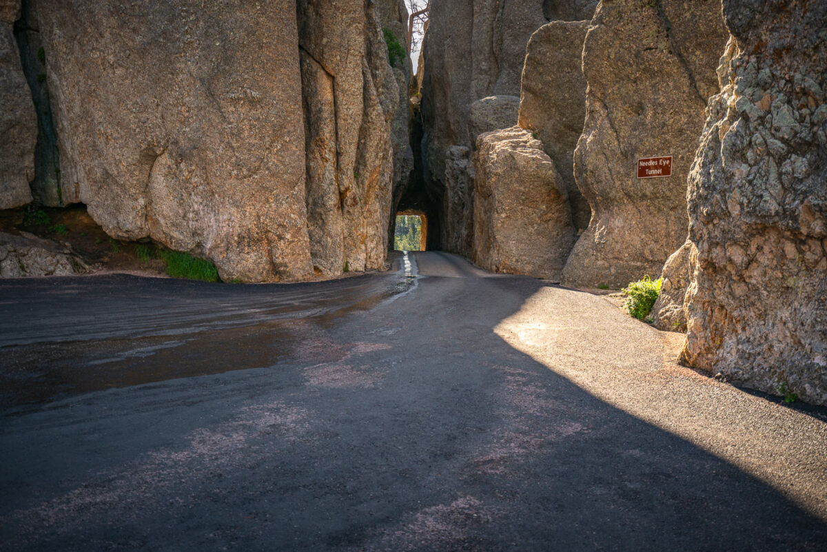 The Needles of the Black Hills of South Dakota are a region of eroded granite pillars, towers, and spires within Custer State Park. Popular with rock climbers and tourists alike, the Needles are accessed from the Needles Highway, which is a part of Sylvan Lake Road (SD 87/89). The Cathedral Spires and Limber Pine Natural Area, a 637-acre portion of the Needles containing six ridges of pillars as well as a disjunct stand of limber pine, was designated a National Natural Landmark in 1976. -- Wikipedia