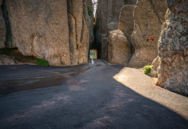 The Needles of the Black Hills of South Dakota are a region of eroded granite pillars, towers, and spires within Custer State Park. Popular with rock climbers and tourists alike, the Needles are accessed from the Needles Highway, which is a part of Sylvan Lake Road (SD 87/89). The Cathedral Spires and Limber Pine Natural Area, a 637-acre portion of the Needles containing six ridges of pillars as well as a disjunct stand of limber pine, was designated a National Natural Landmark in 1976. -- Wikipedia