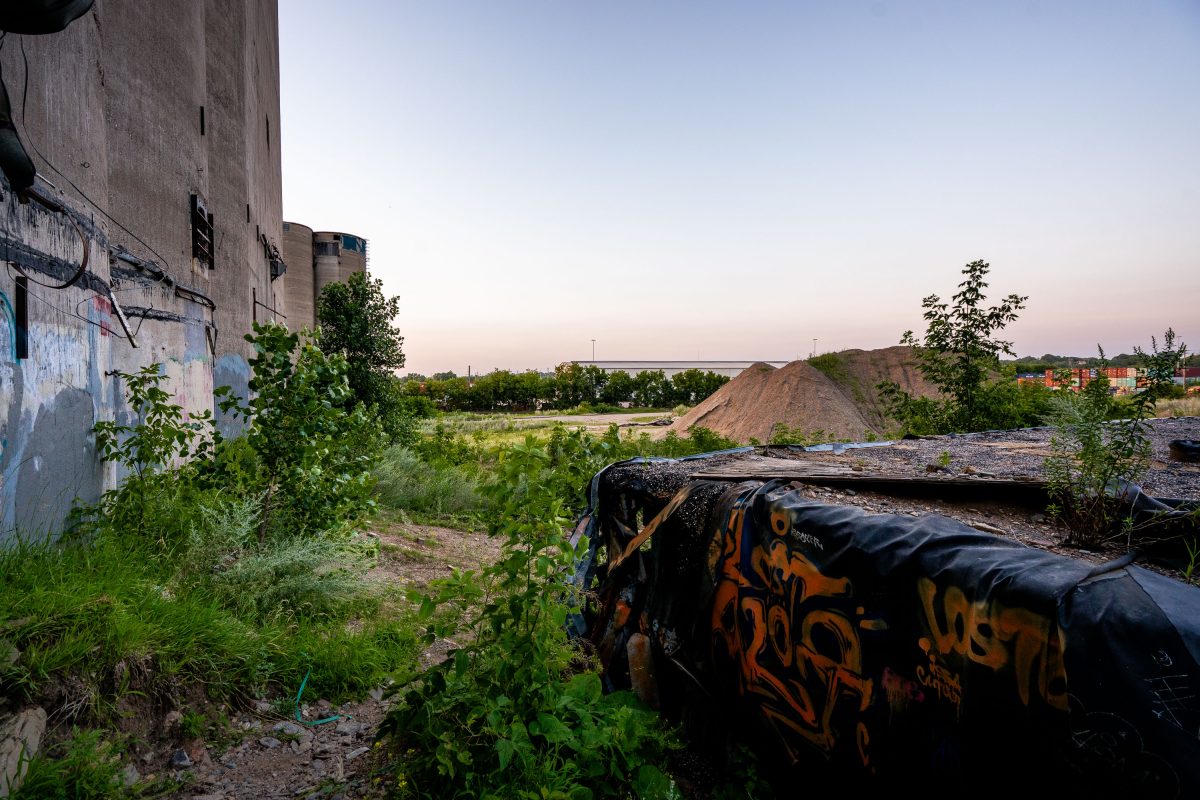Overgrown Lot Beside ADM Grain Elevator, Minneapolis