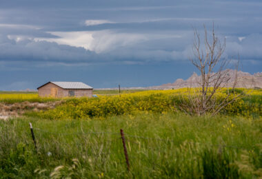 A lone wooden shed stands among fields of wild grasses and yellow blooms as storm clouds gather near Interior, South Dakota, on the outskirts of Badlands National Park. The layered sky hints at an incoming summer storm sweeping across the plains, with the rugged formations of the Badlands visible on the horizon. The muted colors and boarded windows evoke both isolation and endurance, capturing the tension between human settlement and the vast, unpredictable prairie environment.