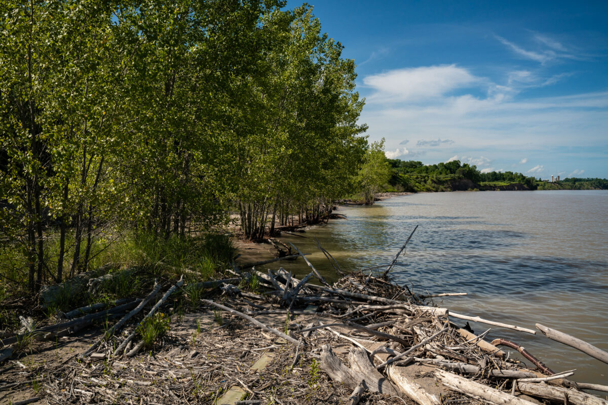 Kewaunee Shoreline with Driftwood and Nuclear Plant