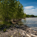 Wood floats up onto the shore in Kewaunee near the Nuclear Power Plant.