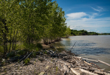 Wood floats up onto the shore in Kewaunee near the Nuclear Power Plant.