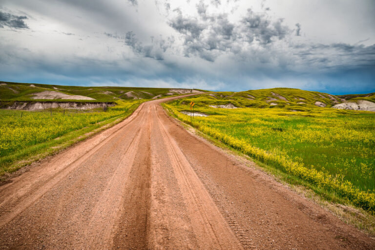 Indian Creek Drive, Badlands National Park 1 A dirt road cuts through the rolling prairie of Indian Creek Drive in the western reaches of Badlands National Park, near the small town of Scenic, South Dakota. Storm clouds build over the mixed-grass plains, casting dramatic light on the green hills and wildflower fields typical of the park’s early summer landscape. This remote section of the Badlands, less traveled than the main loop road, reveals the quieter beauty of the park—where erosion-carved ridges and open grasslands merge under a vast and changeable sky.