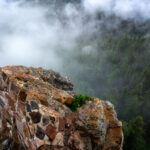 At the summit of Black Elk Peak, low clouds roll through the granite spires and dense pine forest below, wrapping the mountain in a shifting veil of fog. The historic stone fire tower, built by the Civilian Conservation Corps in the 1930s, stands as a testament to early forest conservation in the Black Hills. From this vantage point—the highest in South Dakota—views often stretch into Wyoming and Nebraska, but on misty mornings like this one, the world feels confined to the mountaintop itself, suspended between rock and cloud.