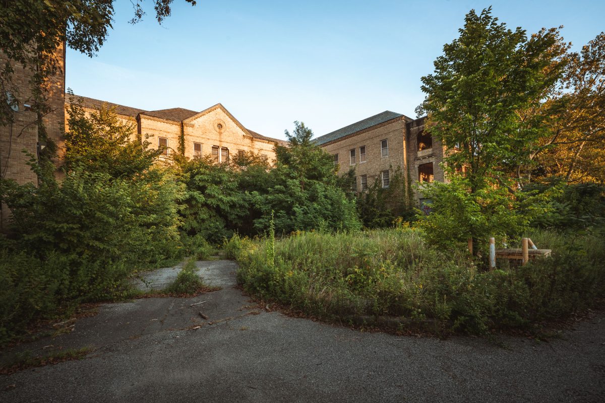 Overgrown courtyard with brick buildings at abandoned Creedmore Psychiatric Center in Queens, New York.