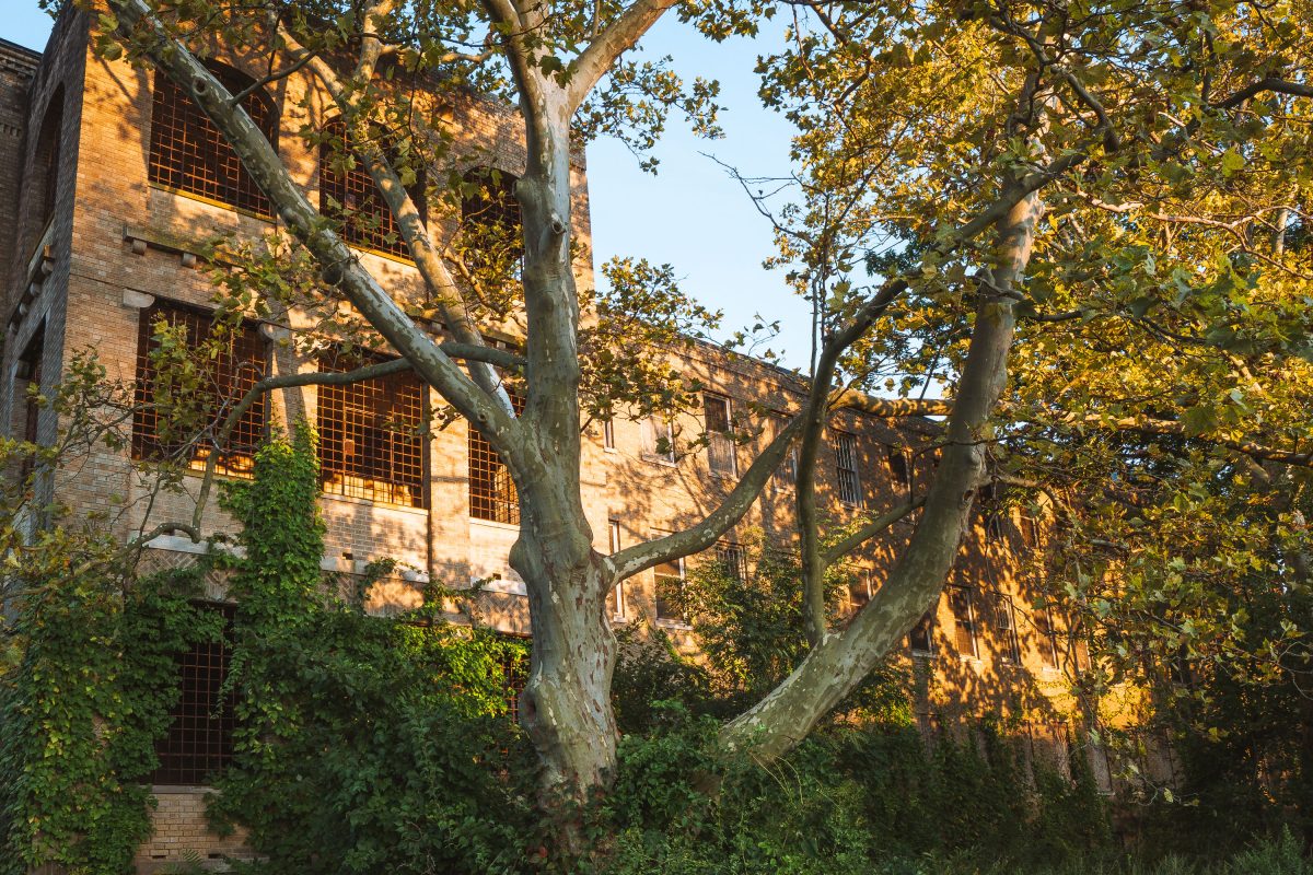 Autumn foliage frames the brick facade of Creedmore Psychiatric Center in Queens, New York.