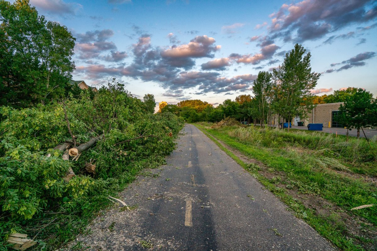 Tree Removal on Cedar Lake Trail in St. Louis Park