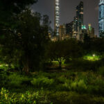 Taken on the southern edge of Central Park in New York City, looking toward Midtown Manhattan from near The Pond.From left to right, visible buildings include 111 West 57th Street (the thin, needle-like skyscraper), Central Park Tower (one of the world’s tallest residential buildings), and the historic Essex House hotel with its red rooftop sign. The green-roofed Plaza Hotel can also be seen near the center-right, just below the taller modern towers of Billionaires’ Row.