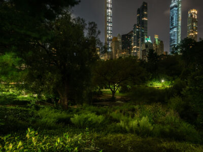 Central Park South Night: Essex House and Skyscrapers