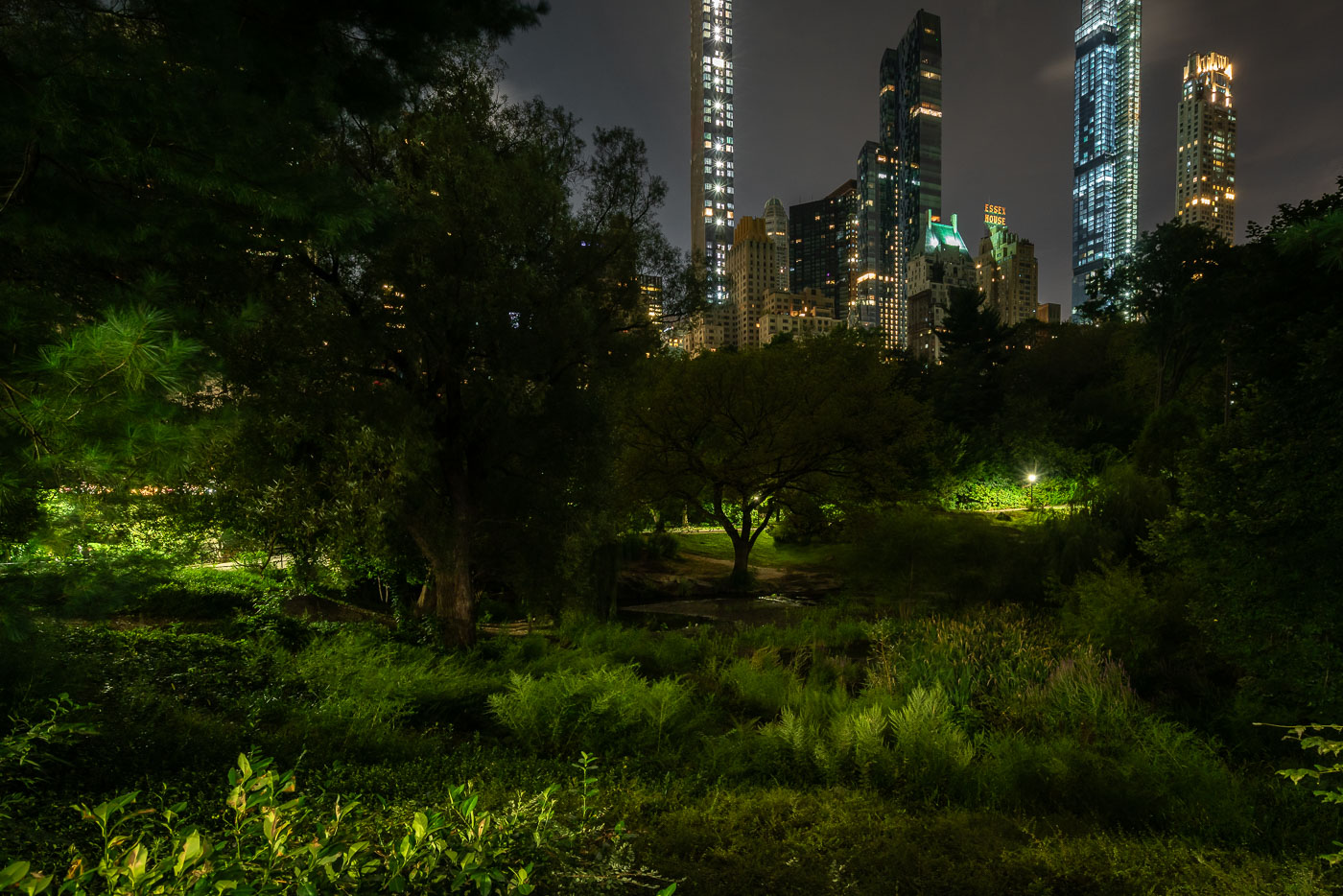 Billionaires Row From Central Park