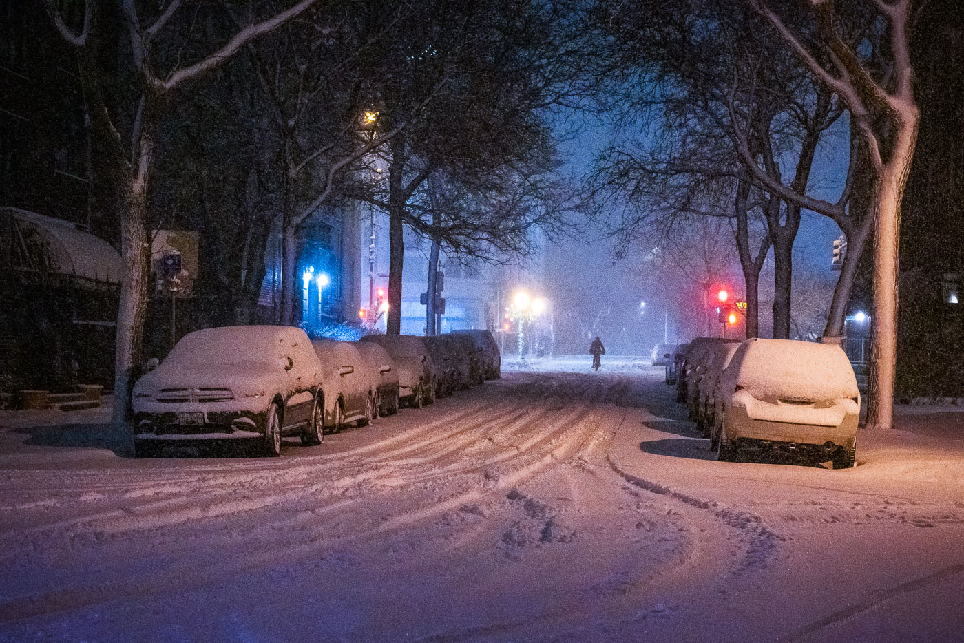 Cyclist During the November 2019 Minneapolis Snowstorm