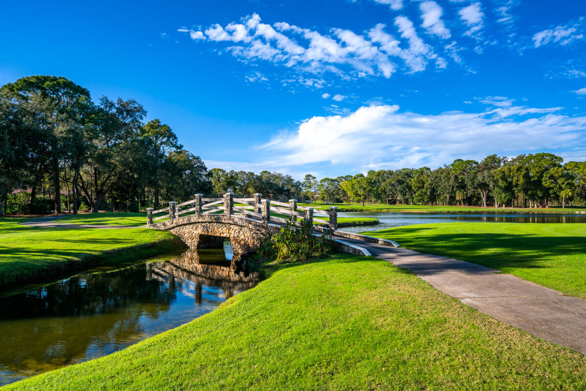 Bridge on the Copperhead Course at Innisbrook in Palm Harbor Florida.
