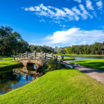 Bridge on the Copperhead Course at Innisbrook in Palm Harbor Florida.
