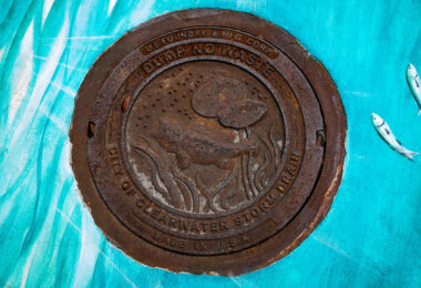 City of Clearwater storm drain manhole lid with fish design. States Dump No Waste.