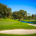 Copperhead Course at Innisbrook in Palm Harbor, Florida.