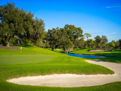 Innisbrook Resort Copperhead Course, Palm Harbor, Florida