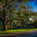 Innisbrook in Palm Harbor Florida.