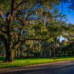 Innisbrook in Palm Harbor Florida.